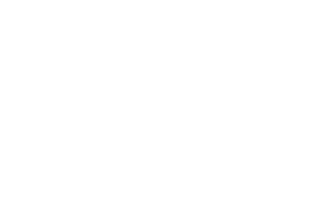 Faraday Future